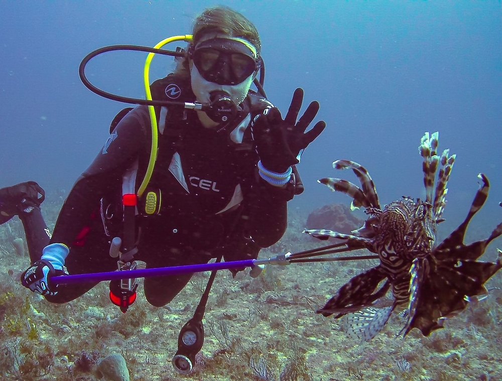 Keke Lionfish.jpg