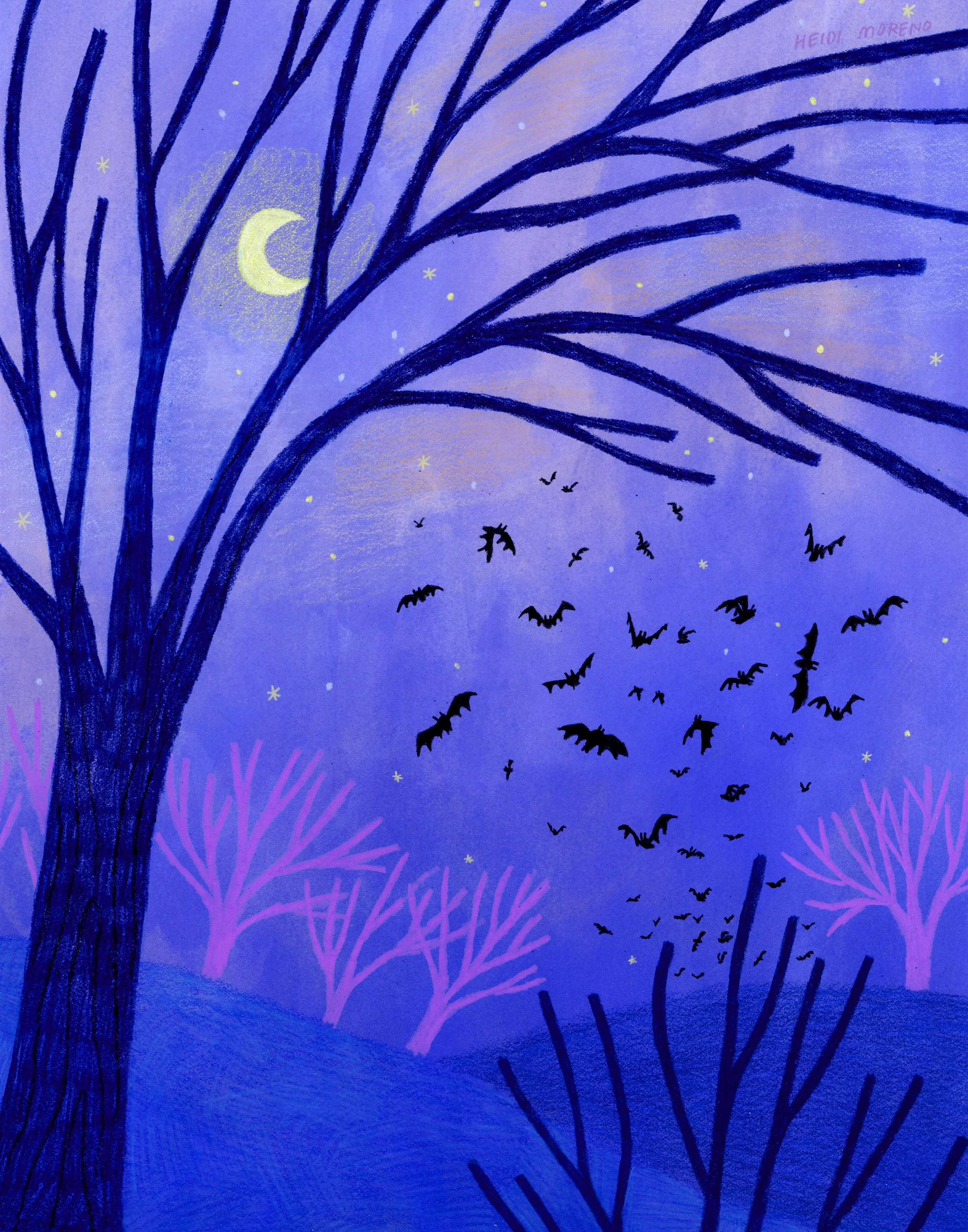 Bat Wing Orchestra.jpg
