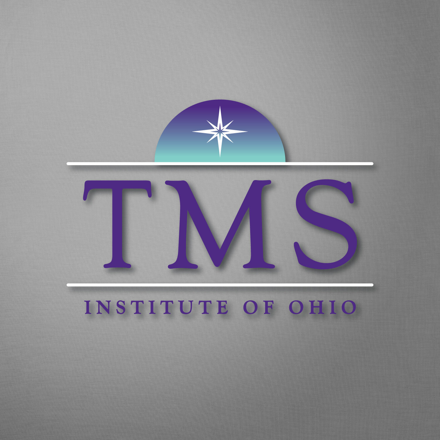 20 - tms logo 1.jpg