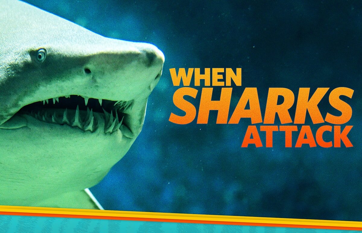 18-when-sharks-attack-2-min.jpg