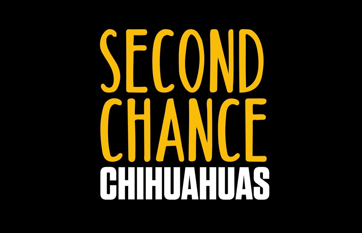 37-Second-Chance-Chihuahuas-min.jpg
