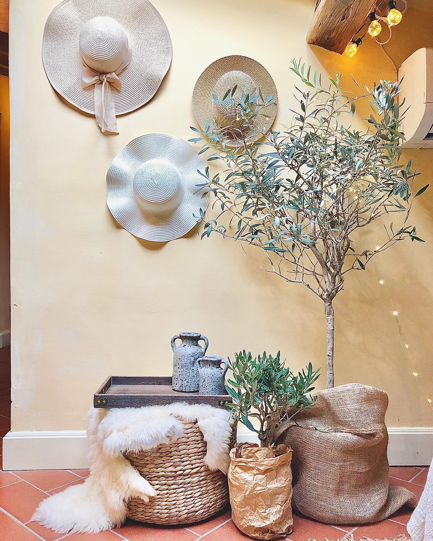 Can I just live in this little corner forever? (And yes, the olive trees are real!)