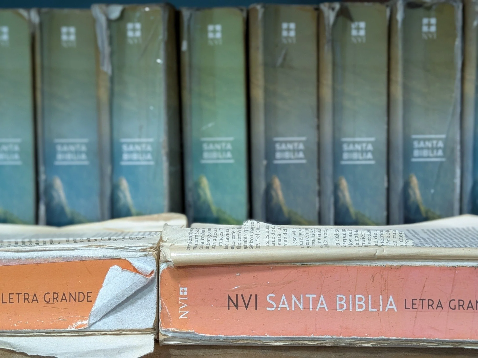 I recently picked up a Bible from the shelf in the library... and the cover fell off. 

As I looked closer, I realized that many of our Bibles had been taped back together.

At Chispas of Change, we teach our students to take care of all of our books