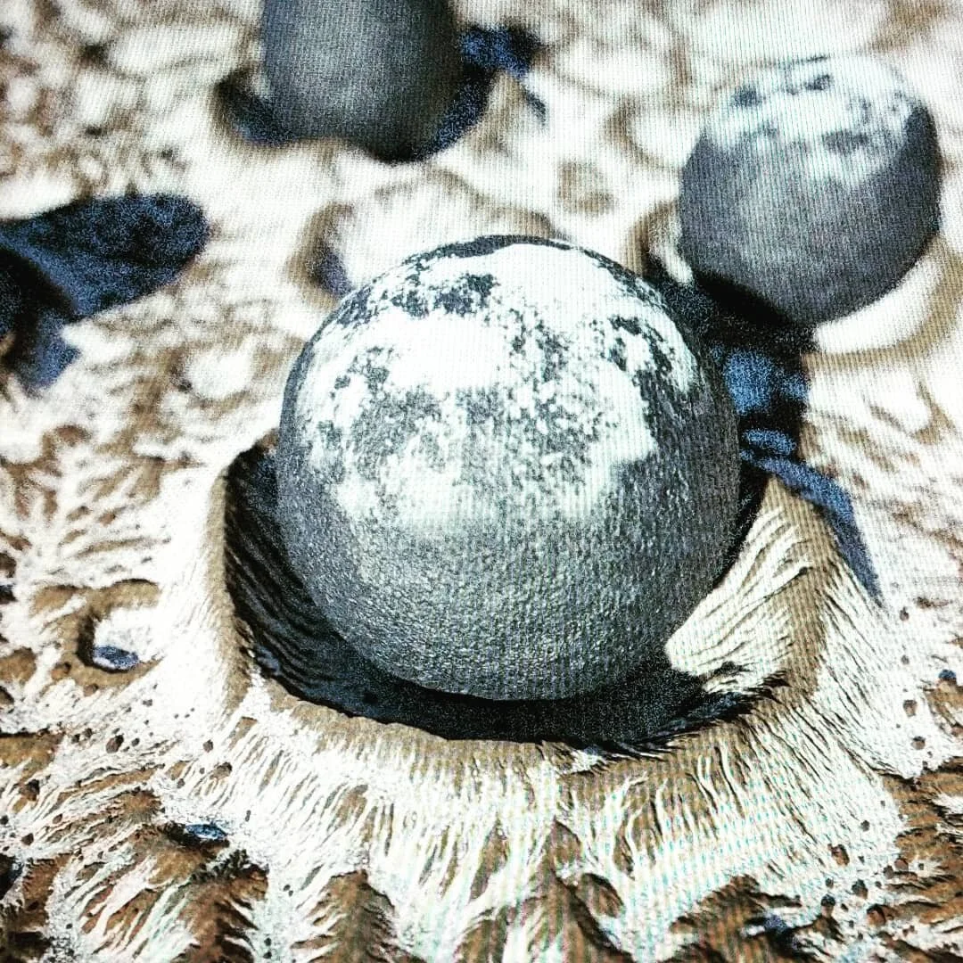 Houdini terrain + Megascans livelink testing. Here's a picture of my monitor, because somebody didn't save before houdini crashed! 
#houdini #sidefx #redshift #megascans #3D #cgi #abstract #abstractart #instaart #instagood #oddlysatisfying #mildlyint