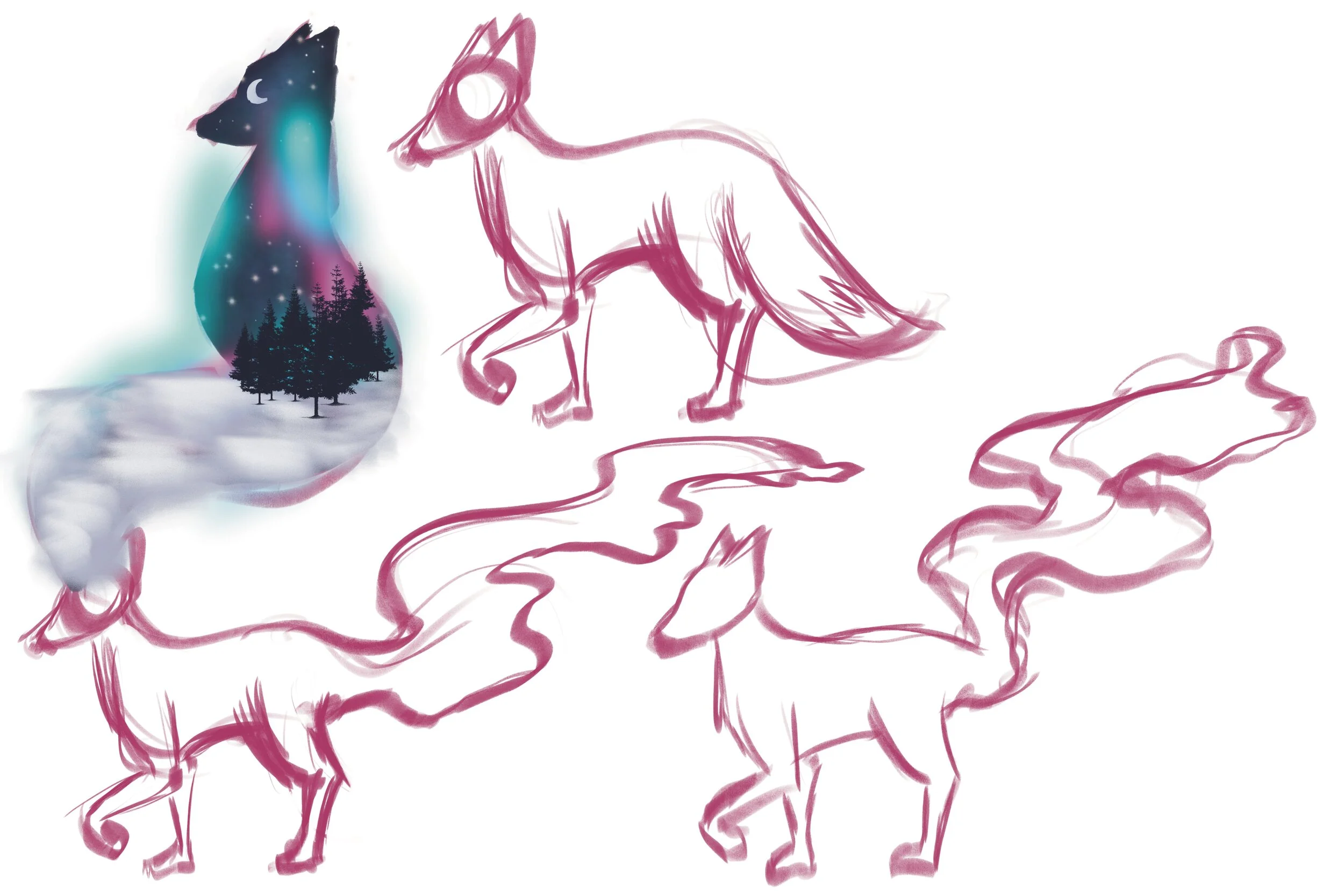 Firefox_Sketches.jpg