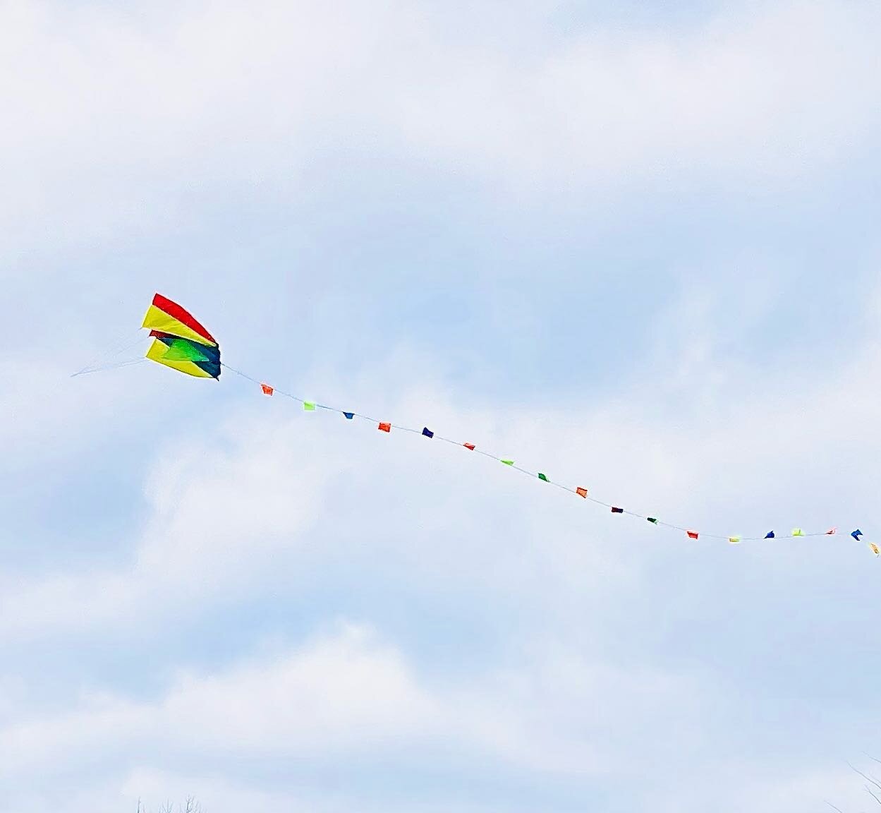 This is what organization looks like 🤷🏻&zwj;♀️ Knowing exactly where the kite is so you can run in and get it when the wind picks up. You can join the other family who also brought out their kite 🪁 Easy&hellip;

Yes, organization also looks like a