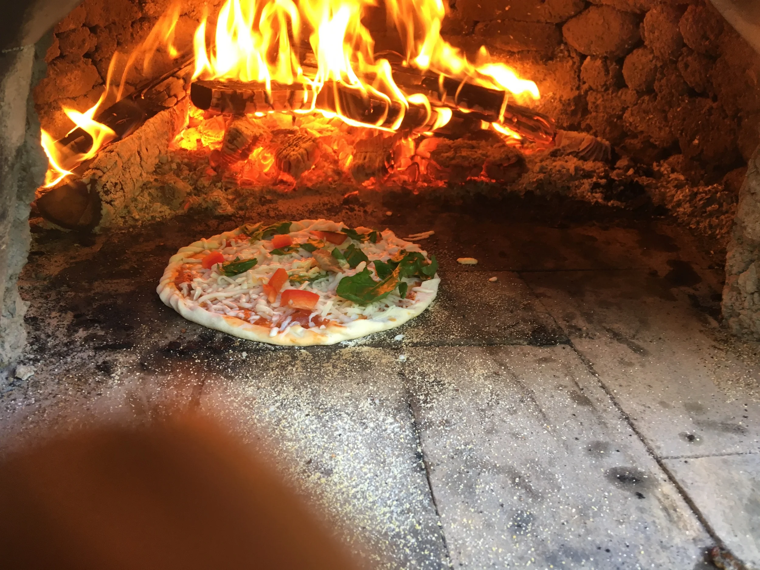 IMG_2319.jpeg