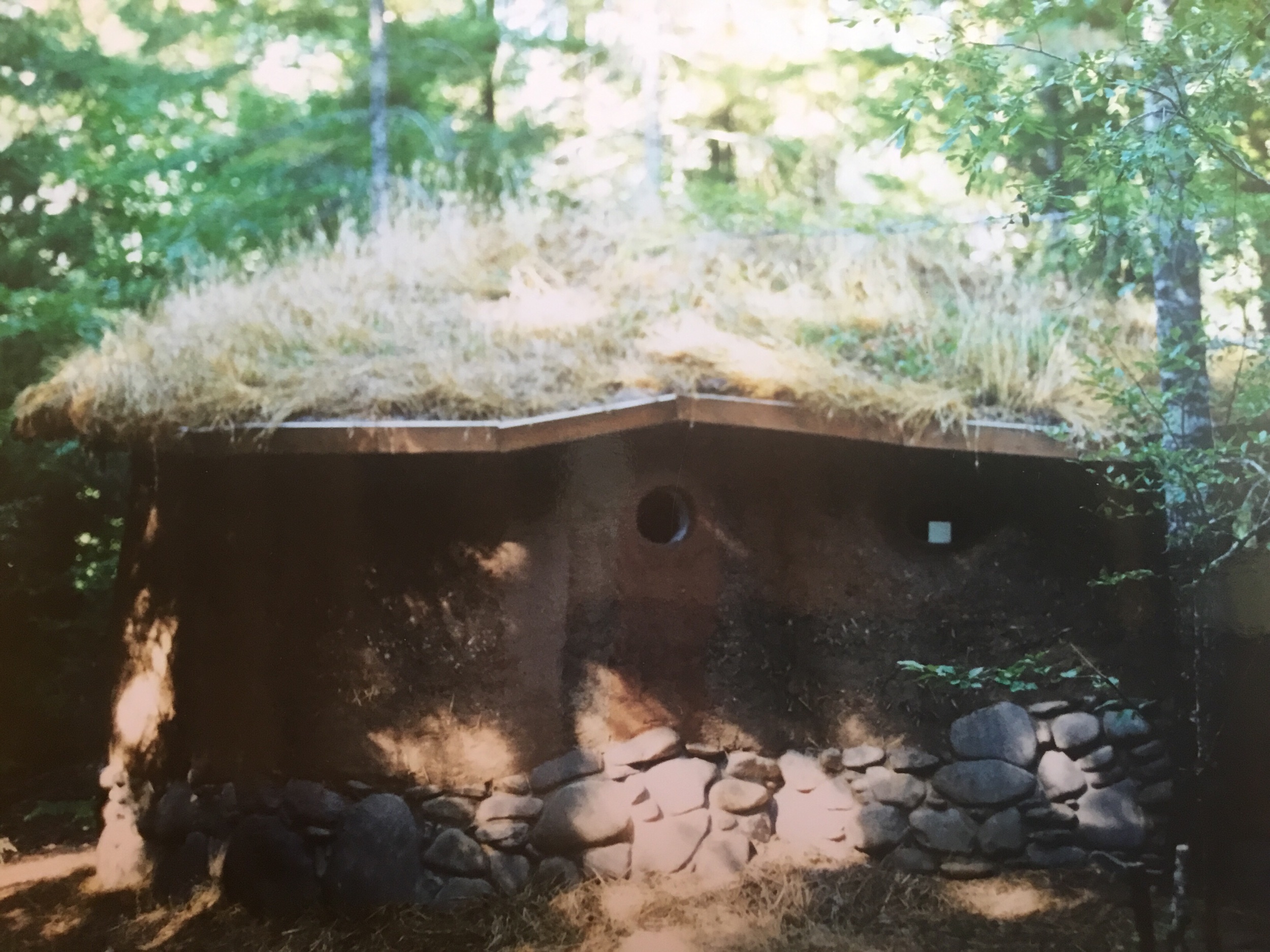 The living roof