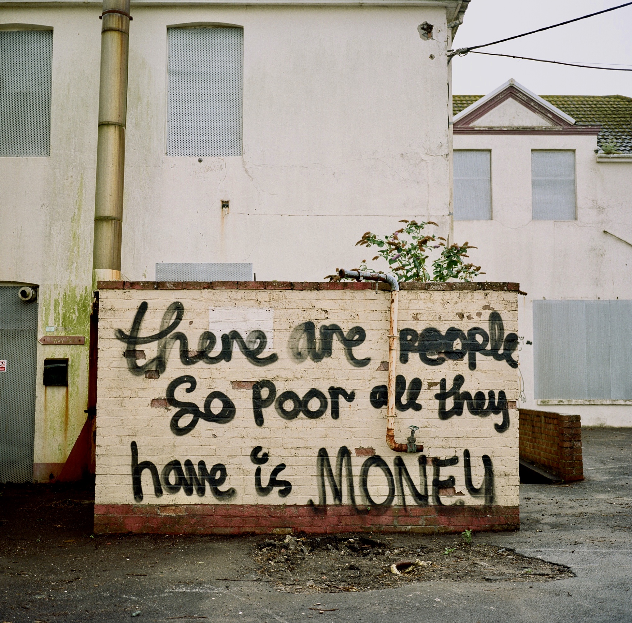 ©Dan Wood