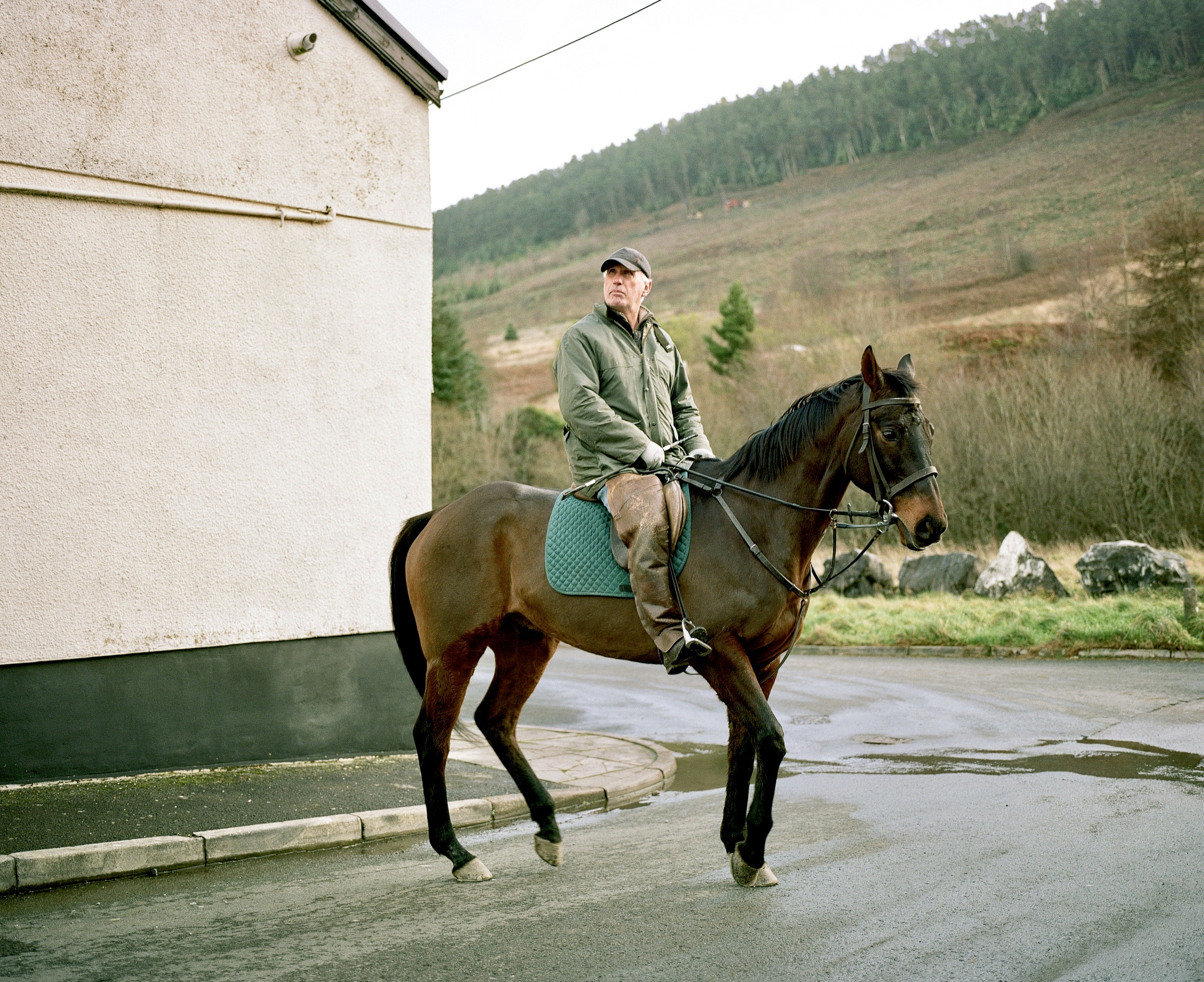 ©Dan Wood
