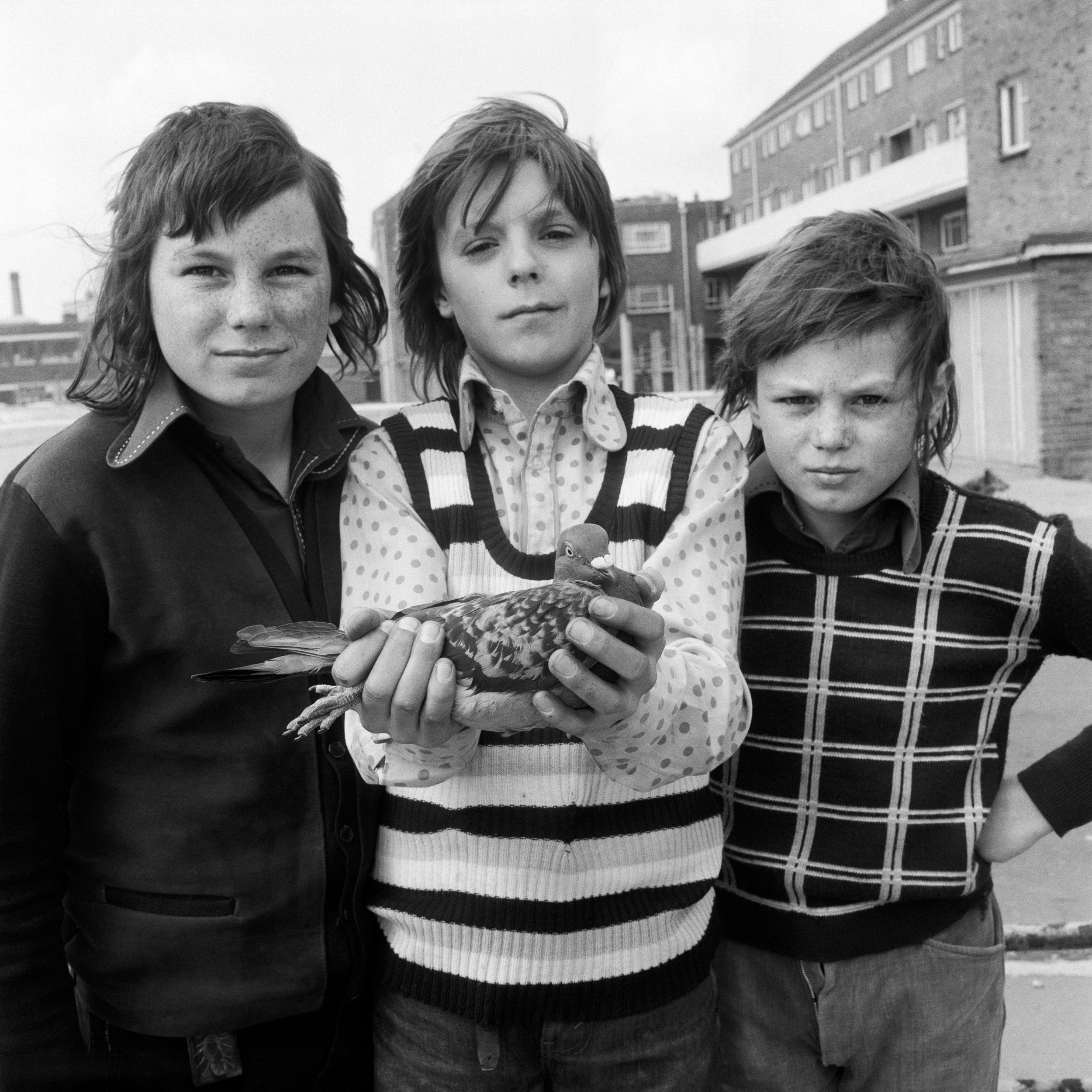  Group portrait from the   Free Photographic Omnibus  , John Payne, aged 11, with pigeon Chequer and friends the White brothers, Michael and Kalvin, Portsmouth. April 1974 ©Daniel Meadows   