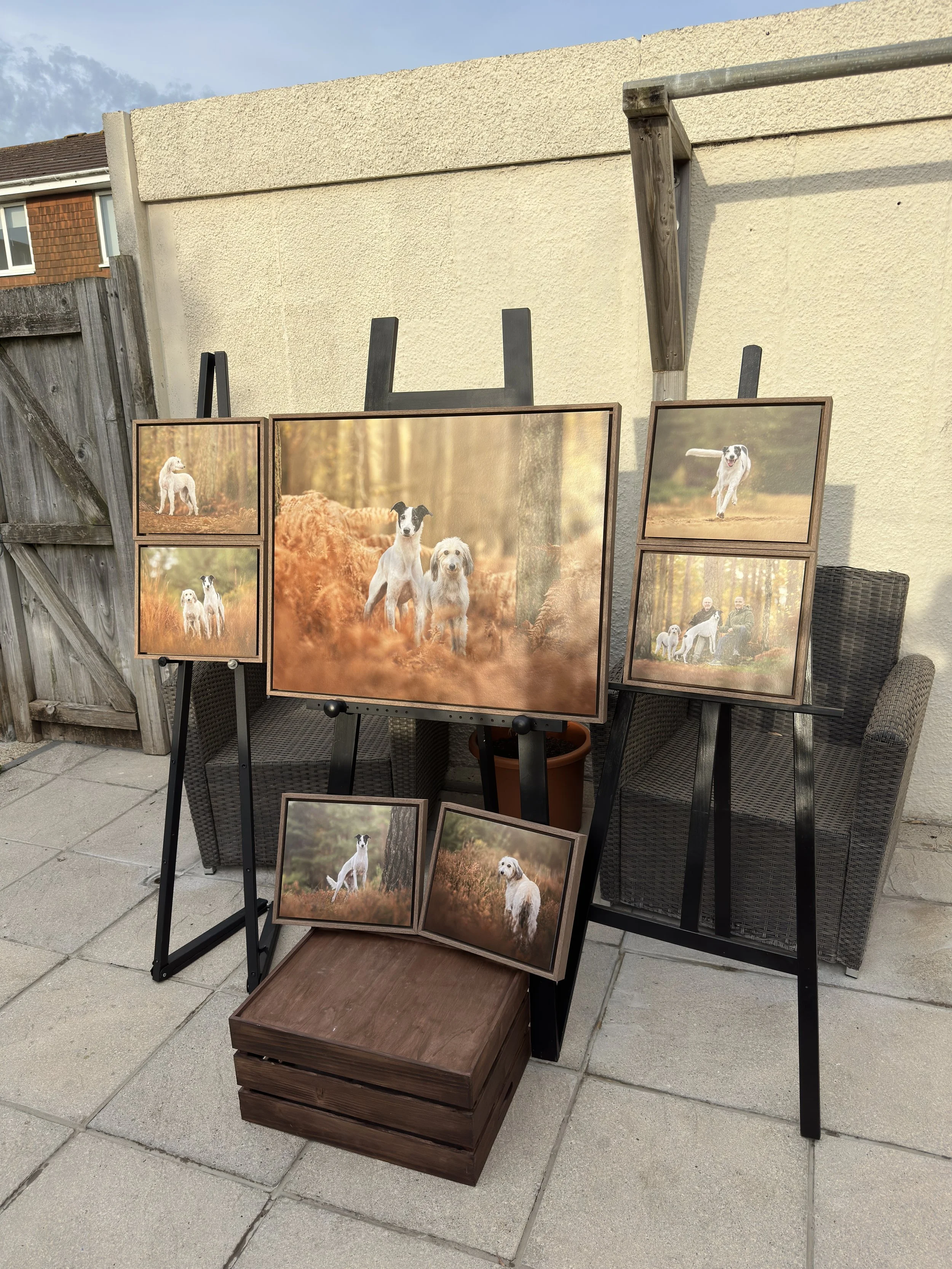 Wall art from a dog photography session in Hampshire