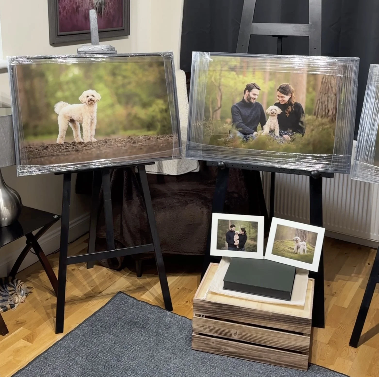 Wall Art Collection West Sussex Cockapoo