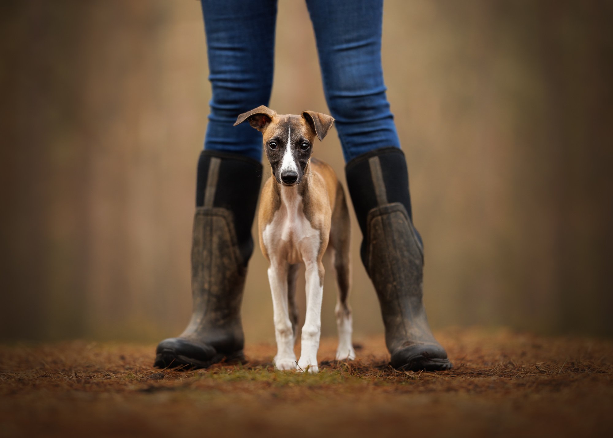 Puppy Photography Sessions: Capturing Your Puppy’s Personality