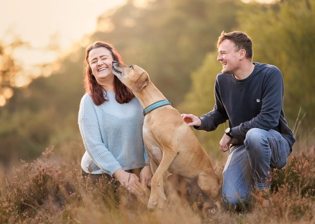 Family and dog photography in Hampshire