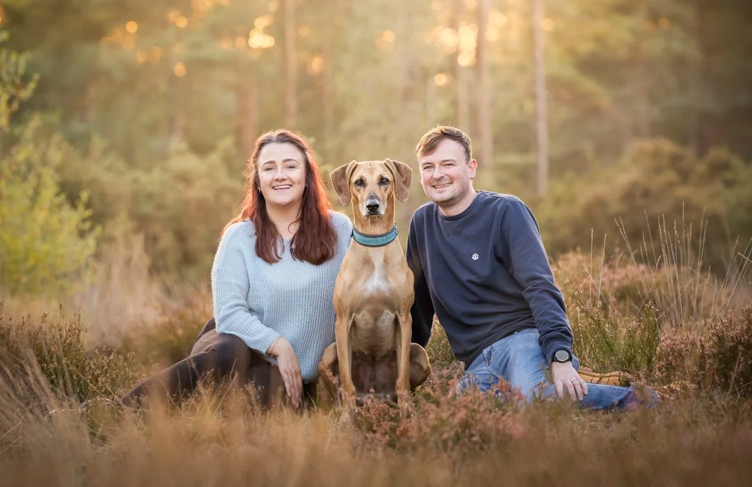 Can My Dog Stay on the Lead During a Photoshoot? | Hampshire Dog Photography