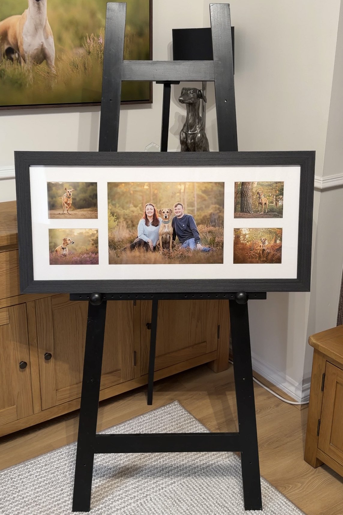 Multi aperture dog photography wall art featuring Rhodesian Ridgeback x Sloughi at Hogmoor Inclosure Hampshire