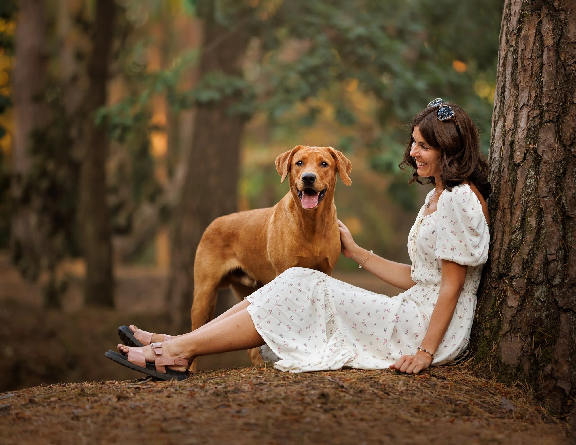 Outdoor portrait of a labrador and his owner in Bordon, Hampshire , highlighting their bond, by Clara Allansson Photography.