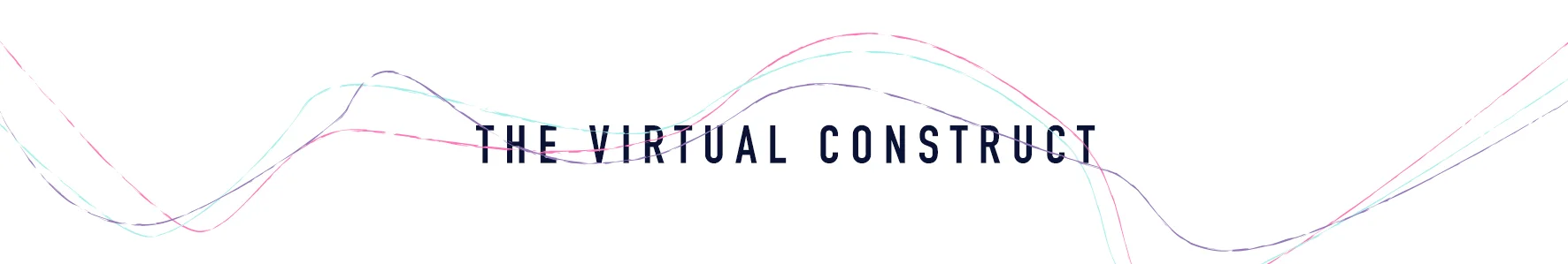 the virtual construct.jpg