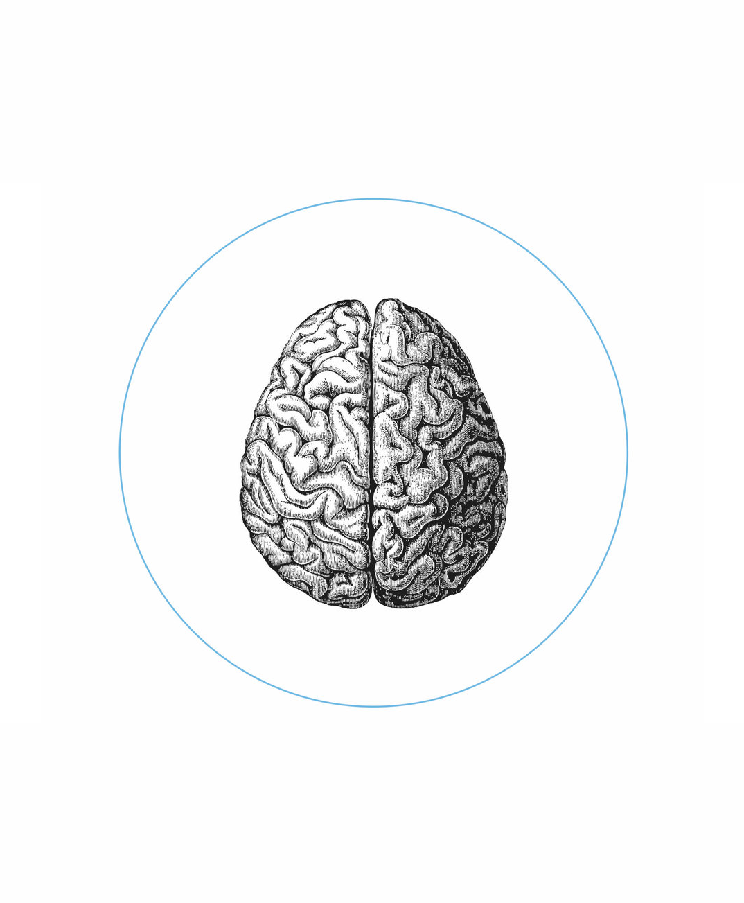 Мозг использует 10. Изучают мозг. Процент работы человеческого мозга. Мозг на сером фоне. Насколько изучен человеческий мозг.