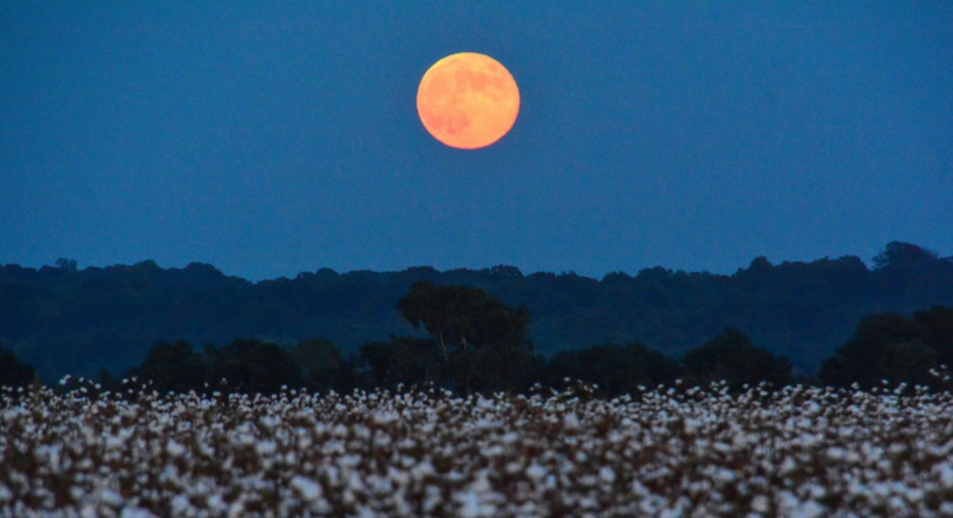 Are We Losing Our Sense of Time?