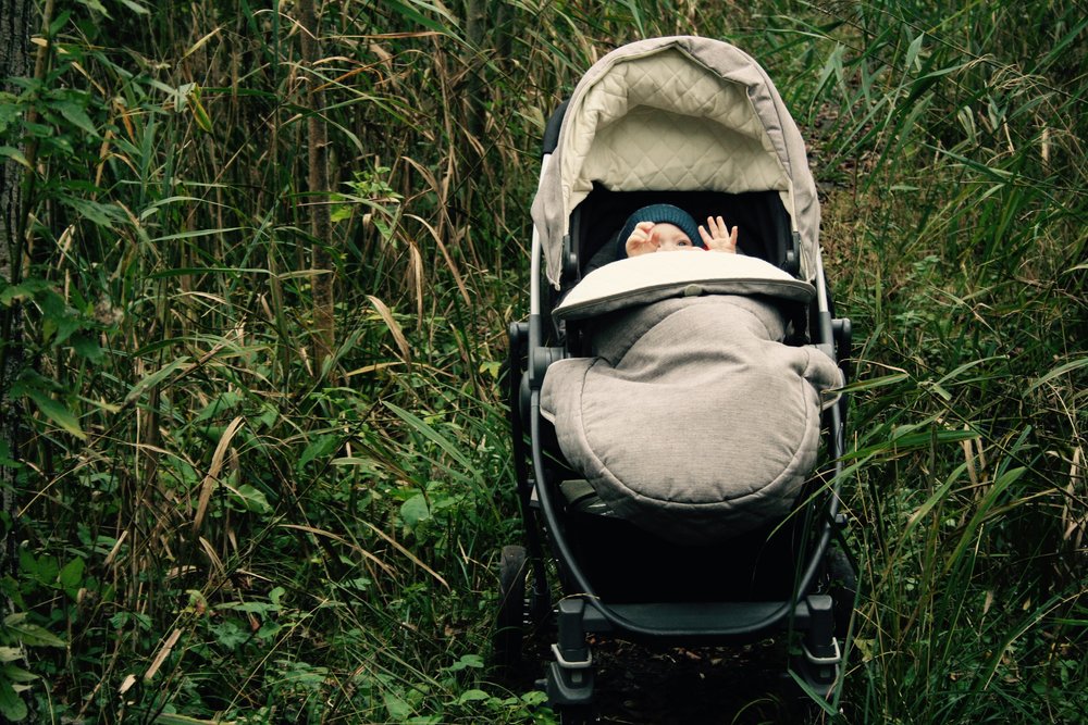 Buggy in Fordham Nature Reserve 'Wet Woods' Cambridgeshire - Gudrun Filipska 2016. Digital photograph