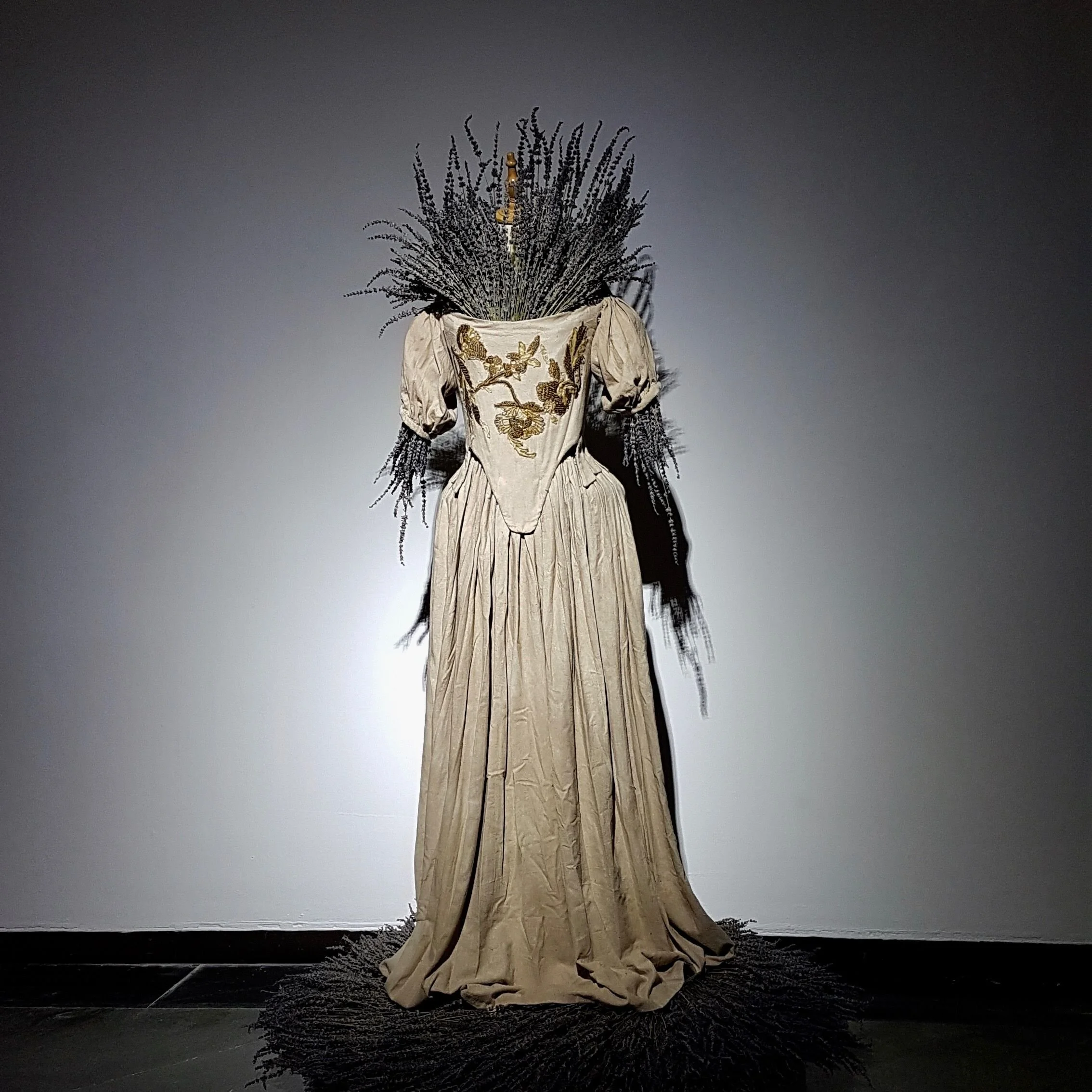 Artist Interview: Anna Dumitriu and the Pandemic