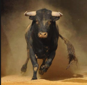 bull.png