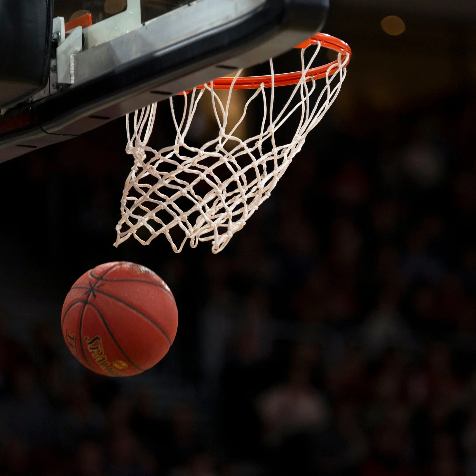 VC Rebound