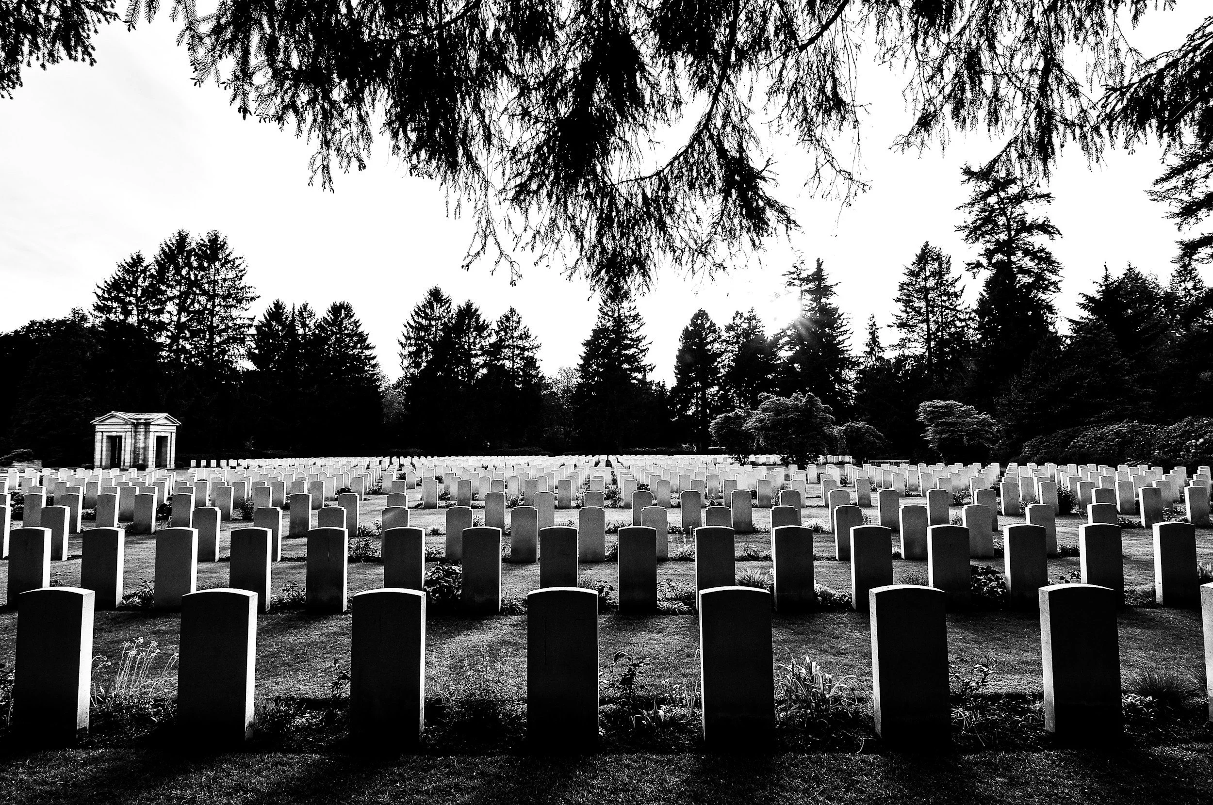 EP. 37 - Death, Impermanence, and Learning How To Live