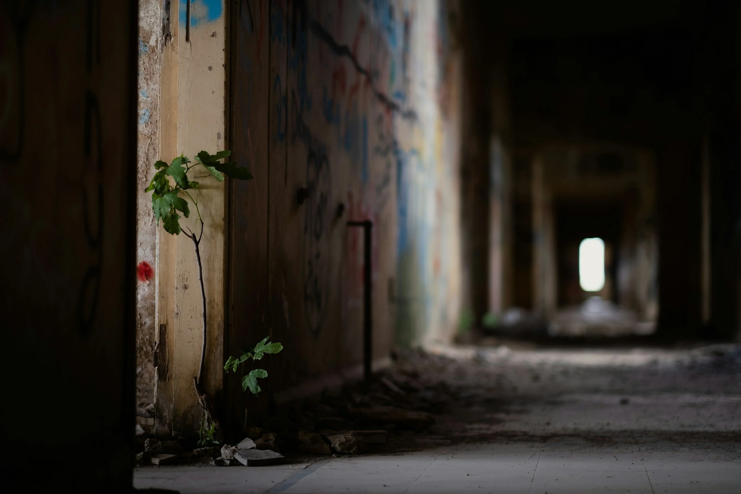 EP. 43 - Friction: What Are We Losing by Making Life Easier?