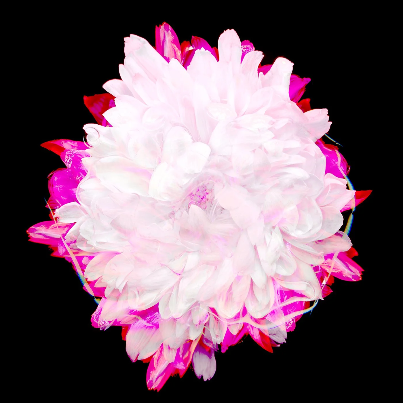 flower076_4.jpg