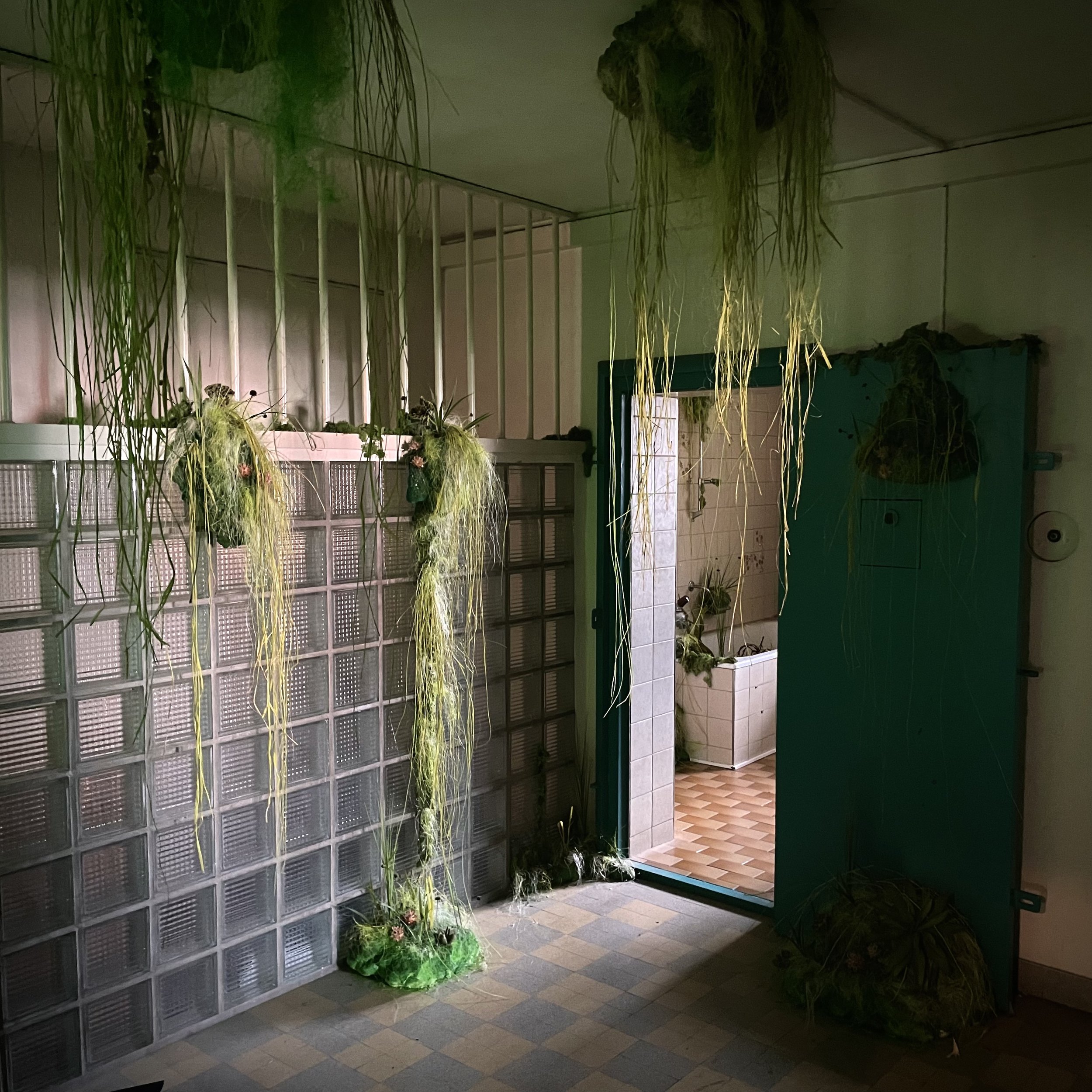 hall.jpg