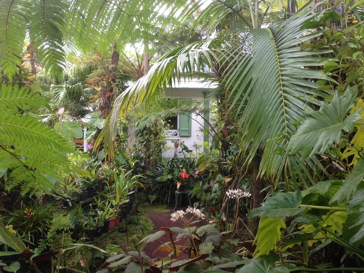 LaRéunion.jpg