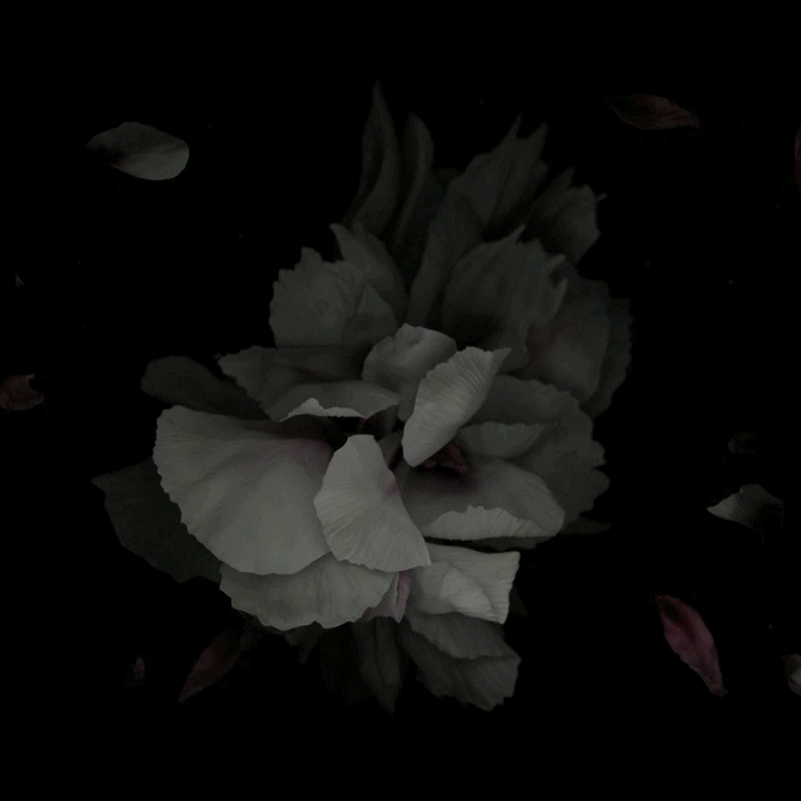 Flowers 2010_GIF2.gif