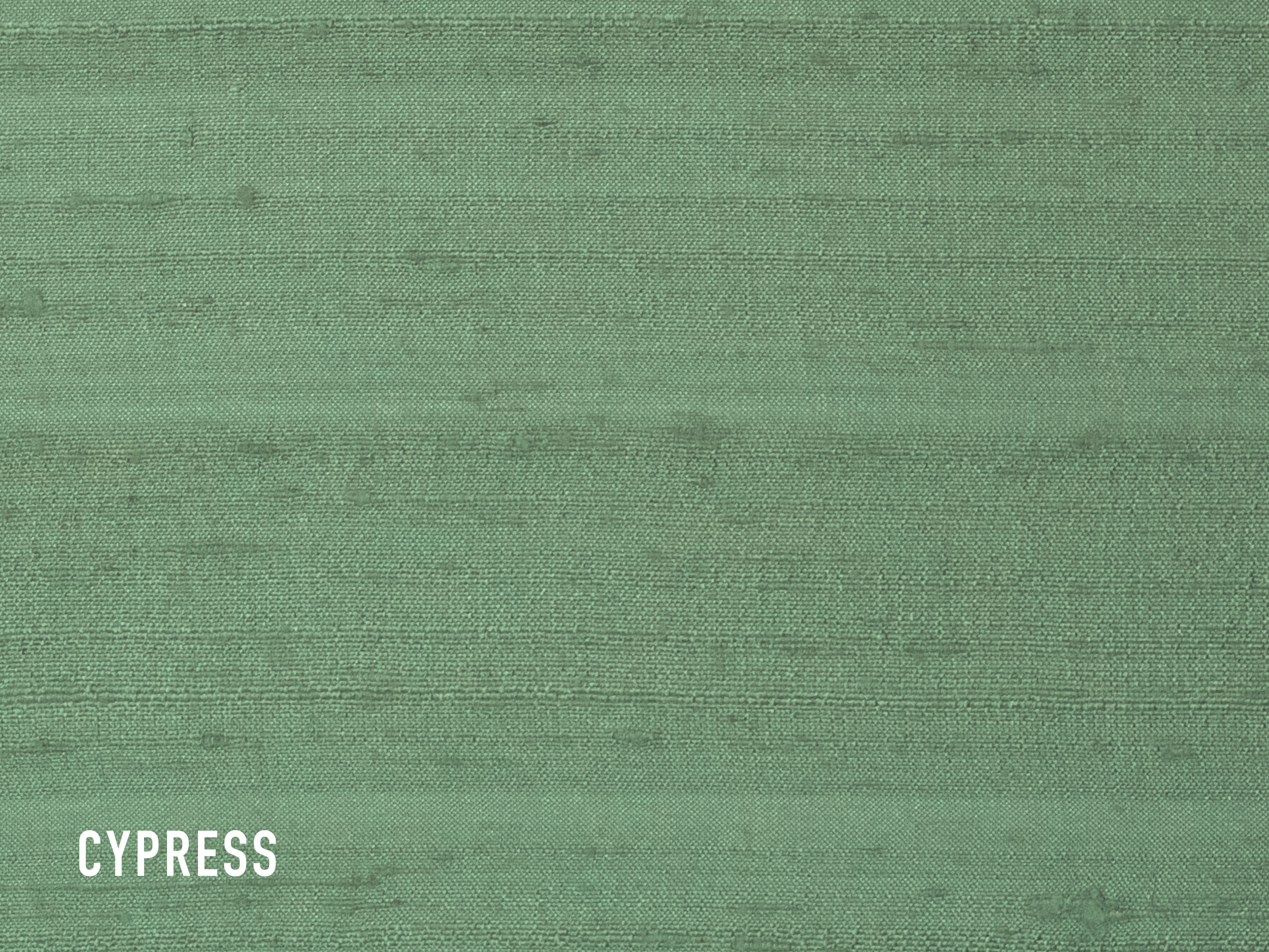 cypress.jpg