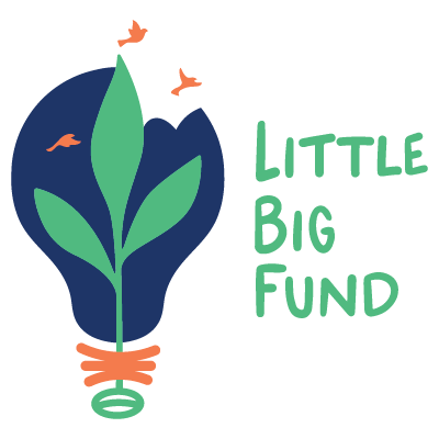 Little Big Fund