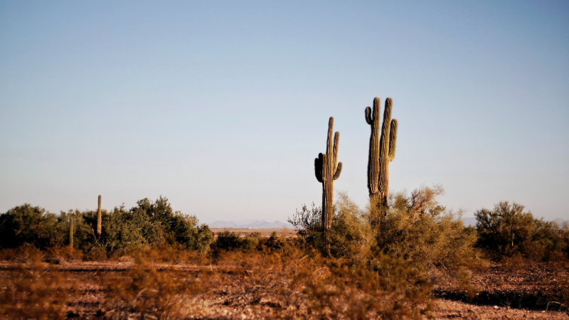 monahans texas rv park.png