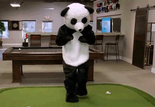 weekend dance.gif
