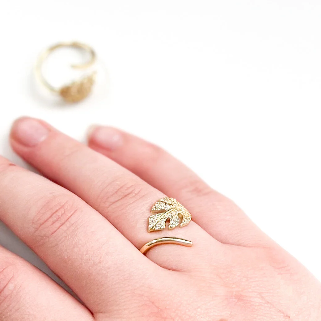 C60EE6D5-225E-4440-80FD-B91D0C20A401