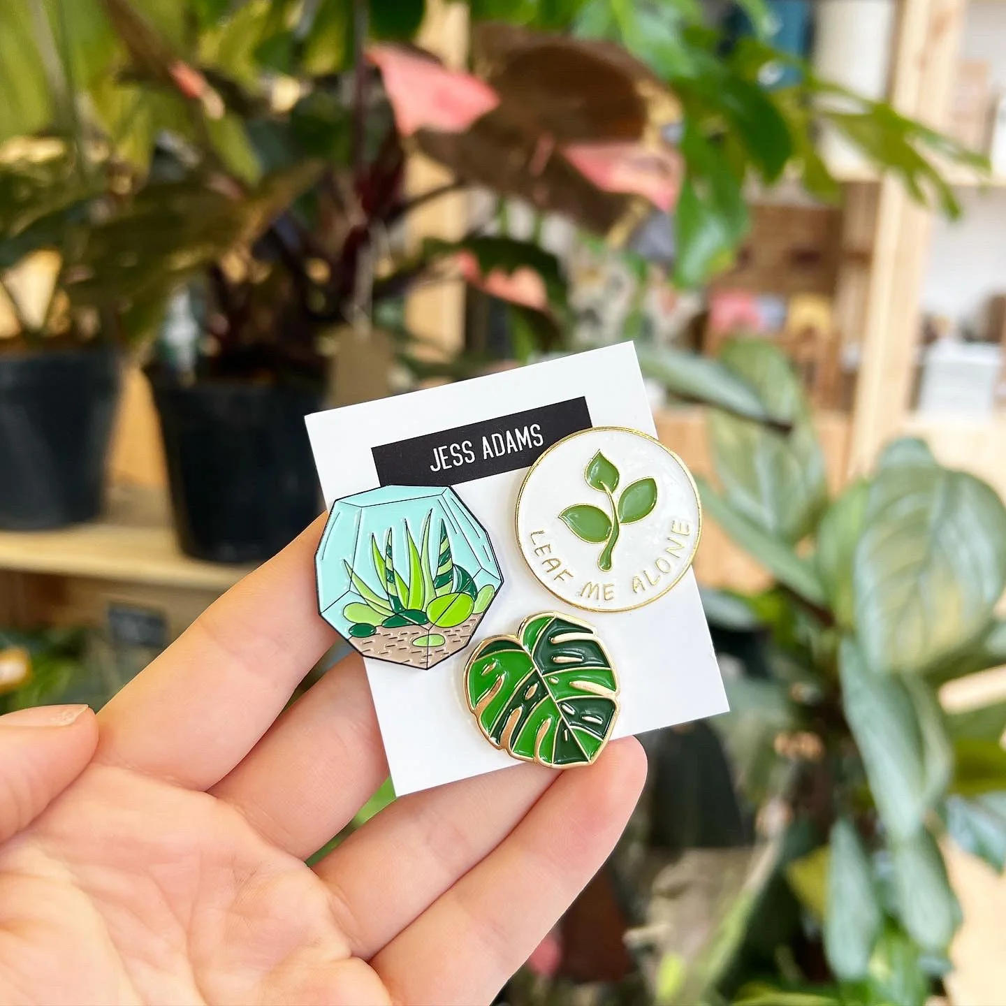 Plant Pin Trio