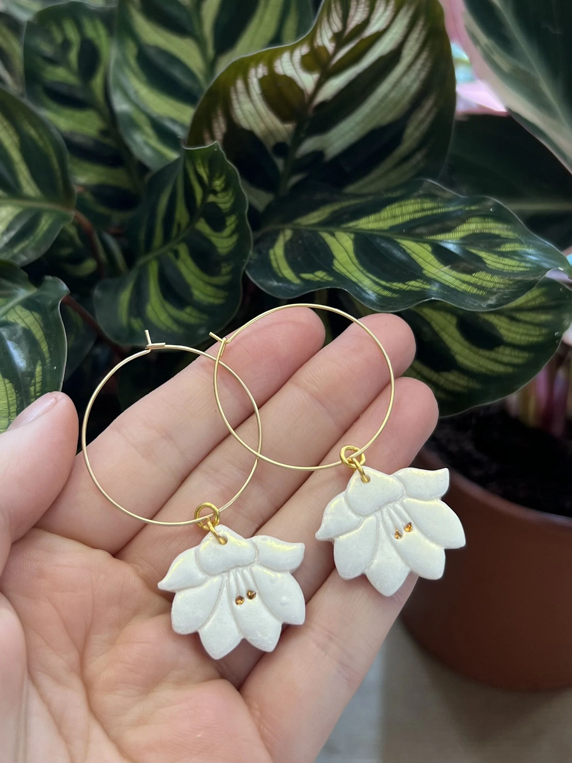 BE058A84-CFB5-4278-8977-AAE91A06DE6B