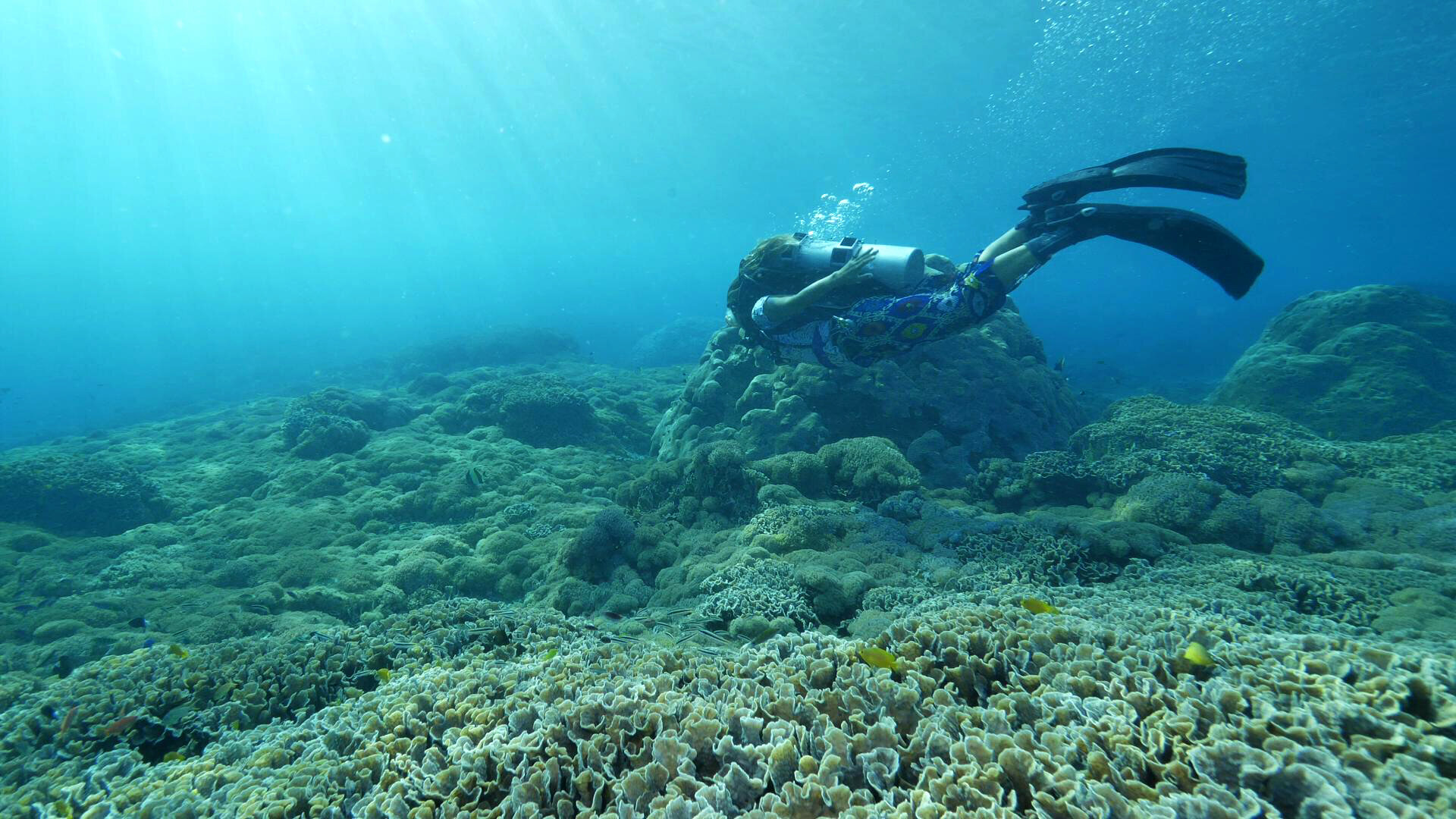 YYang_MadeinParadise 8.JPG