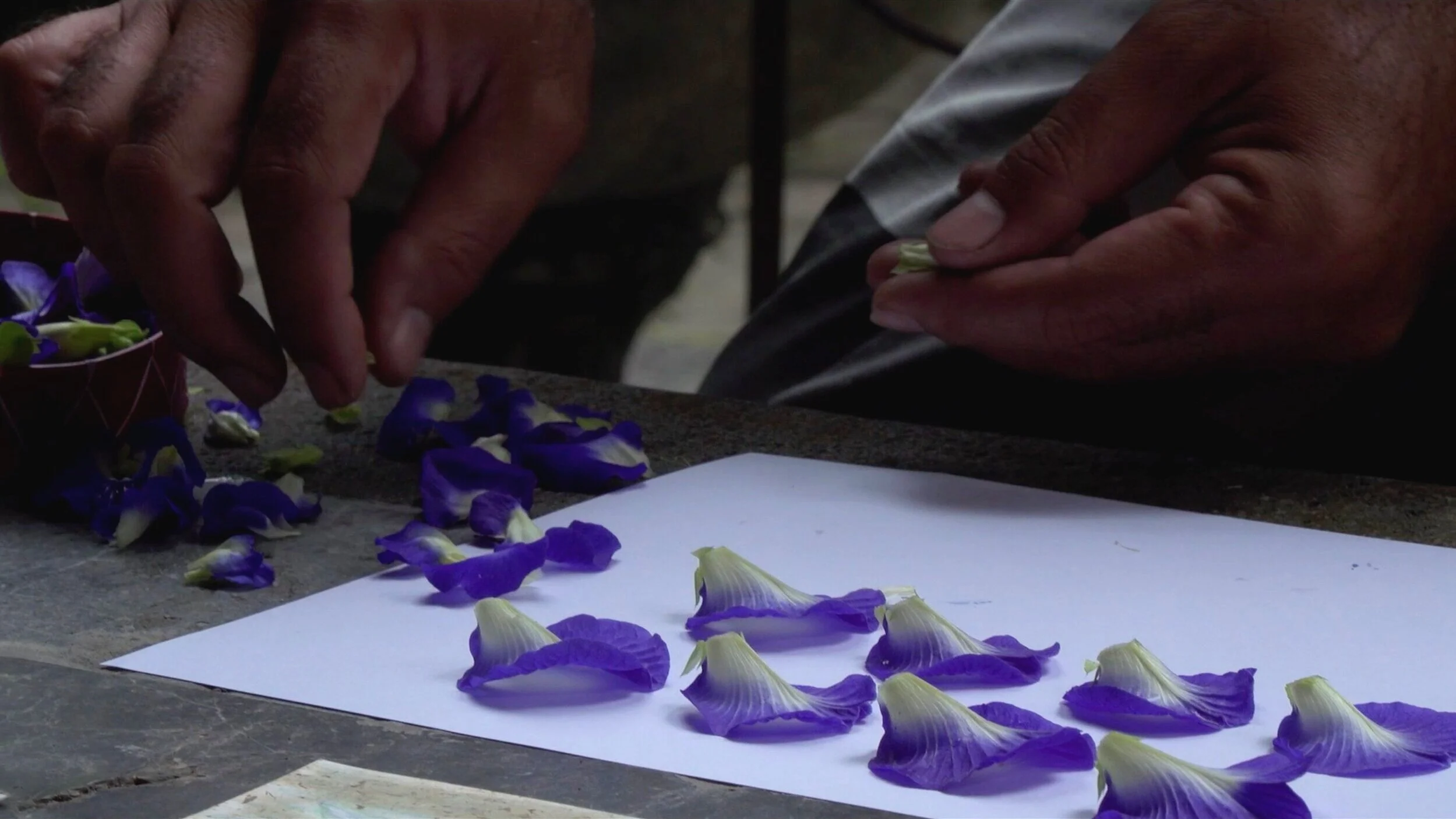 Screen Shot 2020-12-20 at 8.47.13 PM.jpeg