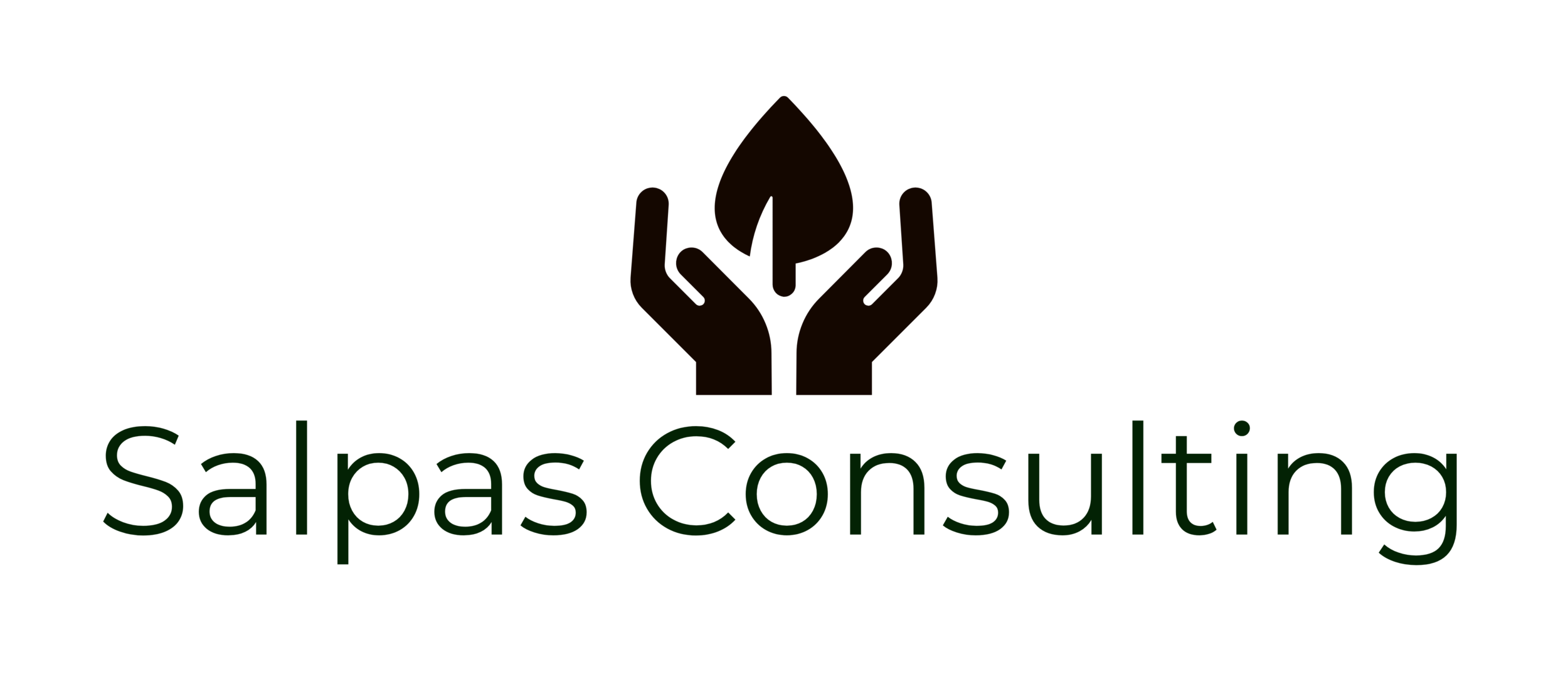 Salpas Consulting