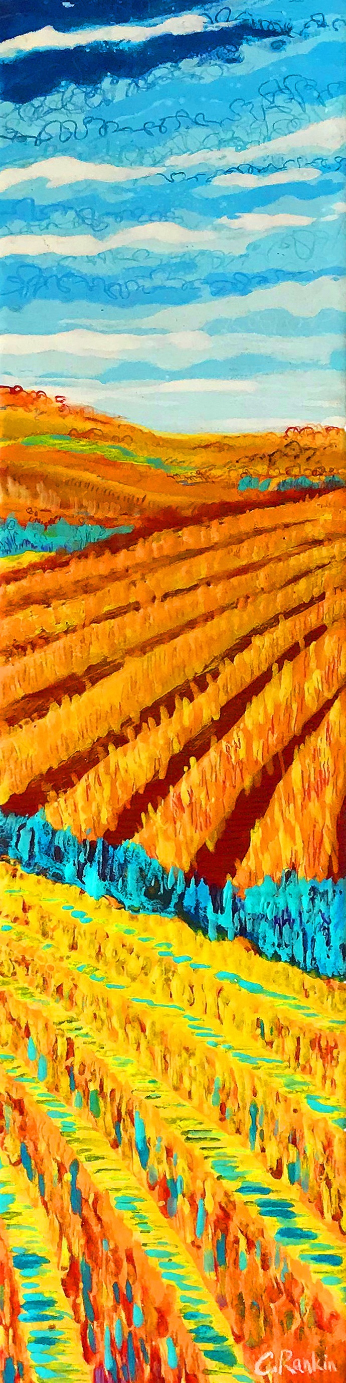 Our Colorful Lands 13