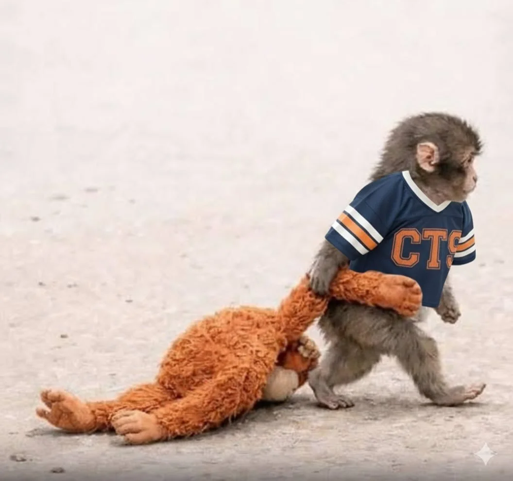 Punch says grab your @christurkswim , it&rsquo;s almost beach season!

Punch loves @christurkswim , and so should you.