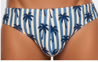 Chris Turk Swim Blue Palm Print- SWIM BRIEF.png