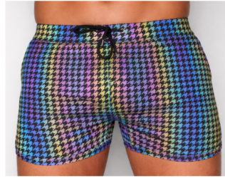 Chris Turk Swim Reflective Gingham Clasp Swim- SWIM SHORT.png