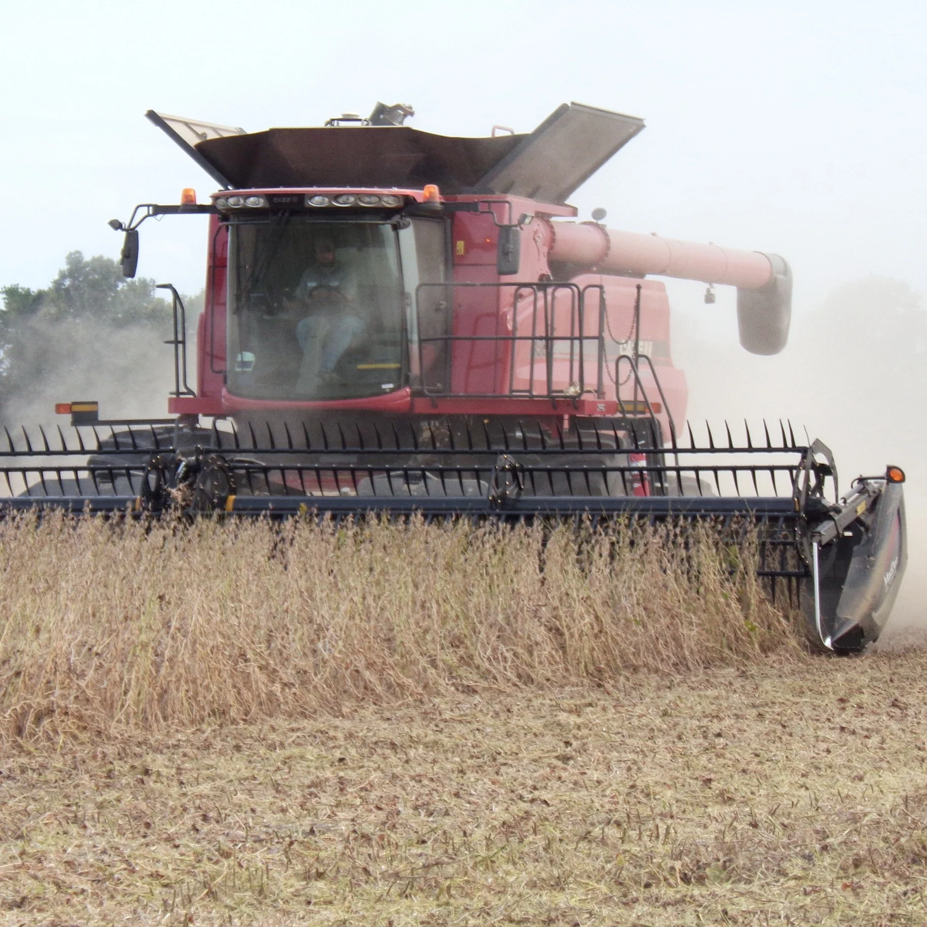 Keller Farms, Inc.